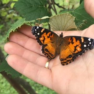 Meet your Posher, Mary